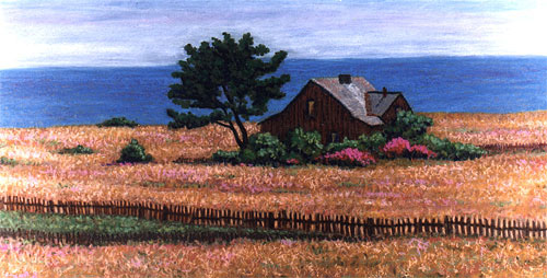 Mendocino House